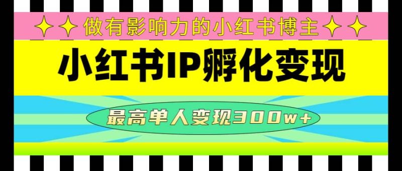 某收费培训-小红书IP孵化变现:做有影响力的小红书博主-创途网
