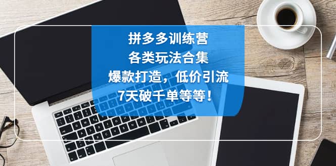拼多多训练营：各玩法合集，爆款打造，低价引流，7天破千单等等-创途网
