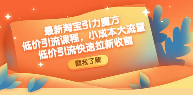 最新淘宝引力魔方低价引流实操：小成本大流量-创途网