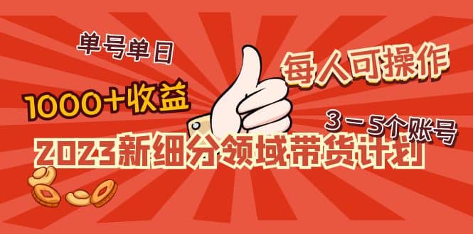 2023新细分领域带货计划：单号单日1000+收益不难，每人可操作3-5个账号-创途网