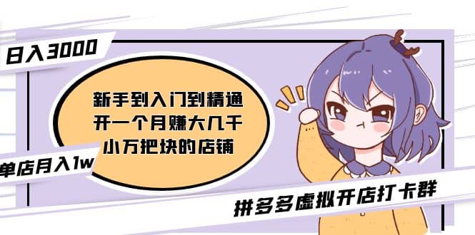 拼多多虚拟开店打卡群：新手到入门到精通-创途网