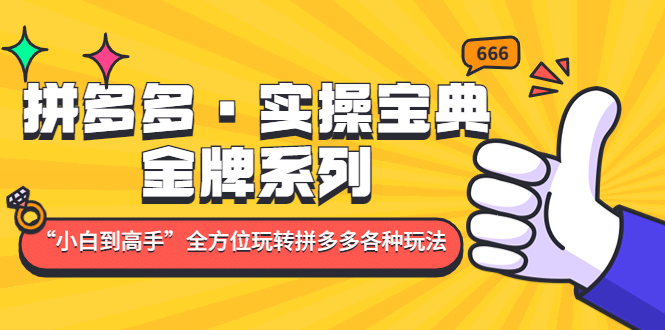 拼多多·实操宝典：金牌系列“小白到高手”带你全方位玩转拼多多各种玩法-创途网