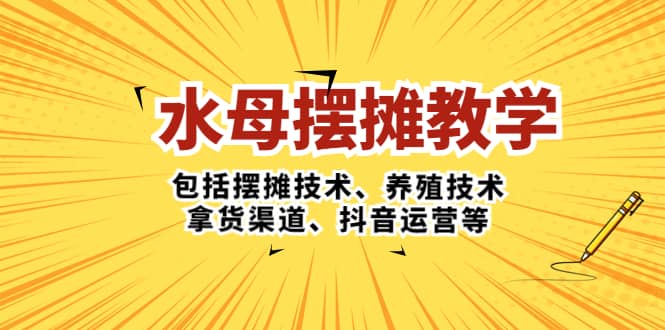 水母·摆摊教学，包括摆摊技术、养殖技术、拿货渠道、抖音运营等-创途网