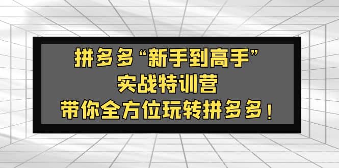拼多多“新手到高手”实战特训营：带你全方位玩转拼多多-创途网
