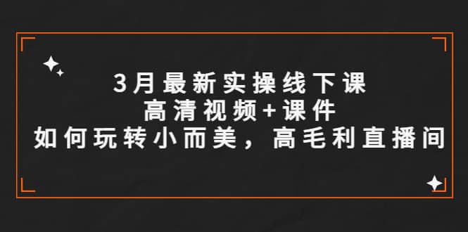 3月最新实操线下课高清视频+课件，如何玩转小而美，高毛利直播间-创途网