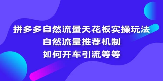 拼多多自然流量天花板实操玩法：自然流量推荐机制，如何开车引流等等-创途网