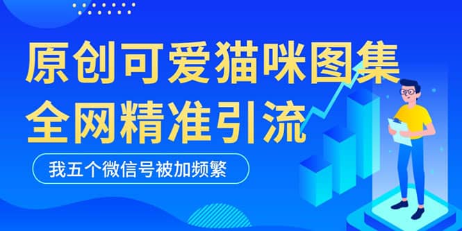 黑科技纯原创可爱猫咪图片，全网精准引流，实操5个VX号被加频繁-创途网