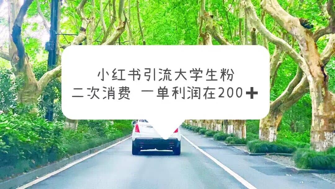 小红书引流大学生粉，变现项目，一单利润在200+（教程+资源）-创途网