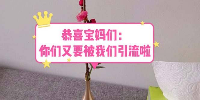 恭喜宝妈们：你们又要被我们引流了（教程+222g资料）-创途网