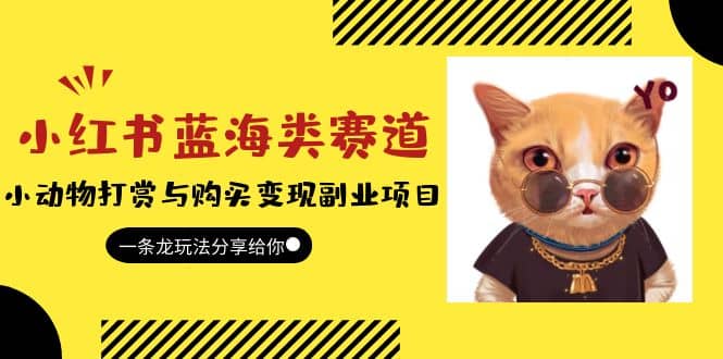 小红书蓝海类赛道：小动物打赏与购买变现副业项目，一条龙玩法分享给你-创途网