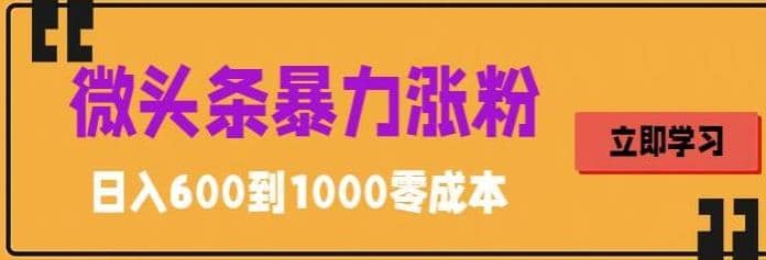 微头条暴力涨粉技巧搬运文案就能涨几万粉丝，简单0成本，日赚600-创途网