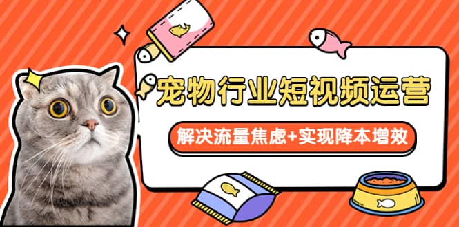 宠物/行业短视频运营 流量增长的一层窗户纸 解决流量焦虑+实现降本增效-创途网