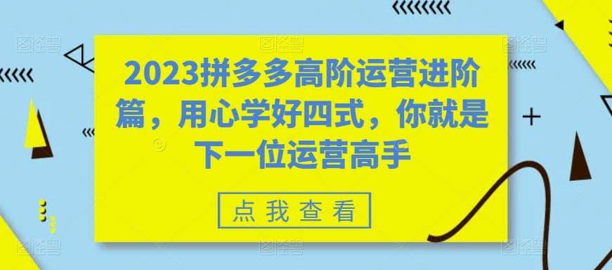 2023拼多多高阶运营进阶篇，用心学好四式，你就是下一位运营高手-创途网