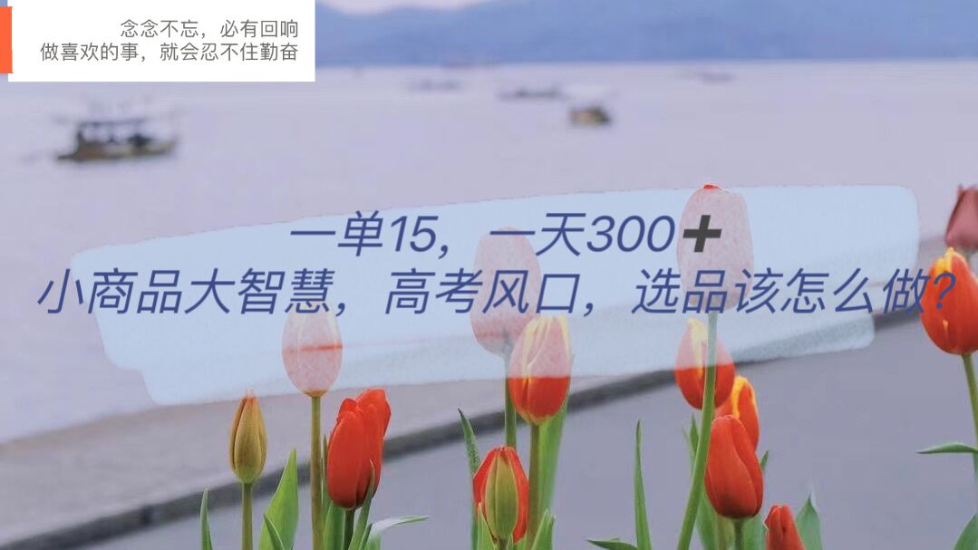一单15，一天300+，小商品大智慧，高考风口，选品该怎么布局-创途网