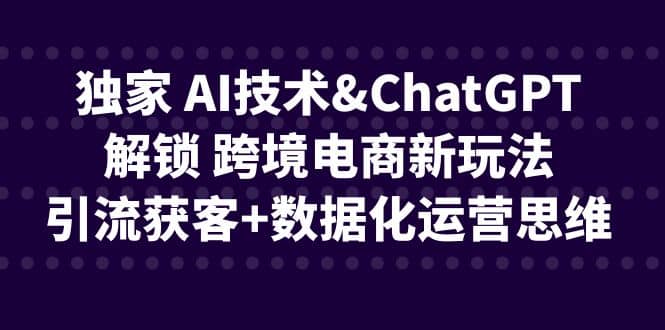 独家 AI技术ChatGPT解锁 跨境电商新玩法，引流获客+数据化运营思维-创途网