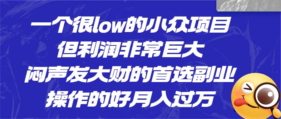 一个很low的小众项目，但利润非常巨大，闷声发大财的首选副业，月入过万-创途网