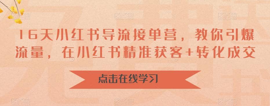 16天-小红书 导流接单营，教你引爆流量，在小红书精准获客+转化成交-创途网