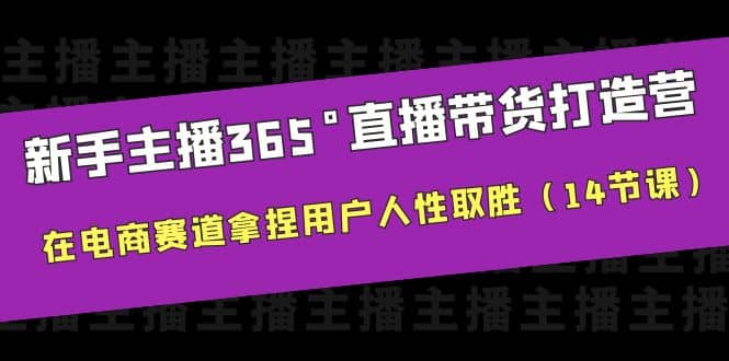 新手主播365°直播带货·打造营，在电商赛道拿捏用户人性取胜（14节课）-创途网
