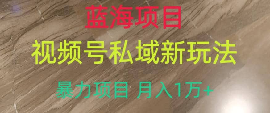 蓝海项目，视频号私域新玩法，暴力项目月入1万+【揭秘】-创途网