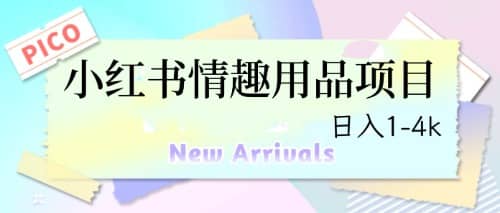 最新小红书情趣用品项目，日入1-4k-创途网