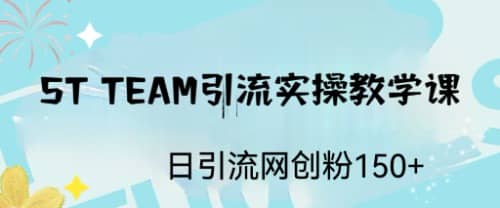 ST TEAM引流实操课，日引流网创粉100+-创途网