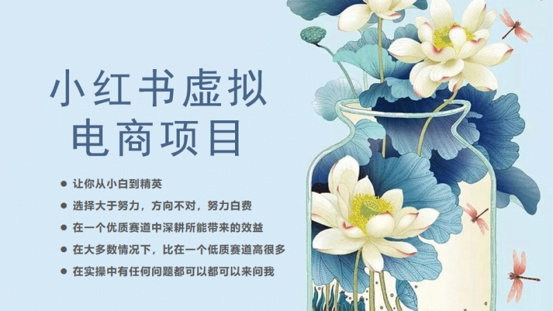 小红书虚拟电商从0到1,让你从小白到精英(20节实操课程)-创途网