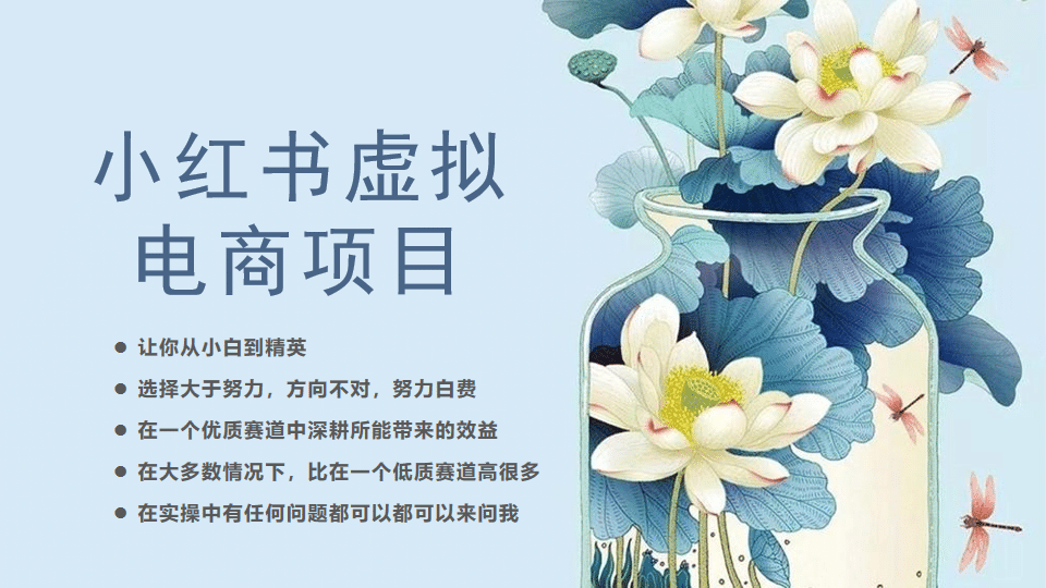 小红书虚拟电商从0到1，让你从小白到精英（20节实操课程）-创途网