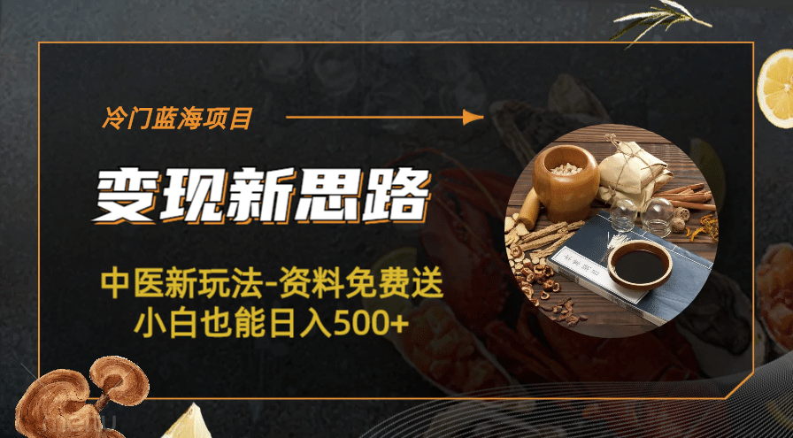 冷门蓝海项目-中医新玩法-冷门蓝海项目-中医新玩法-资料免费送小白也能日入500+500+-创途网