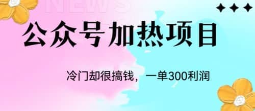冷门公众号加热项目，一单利润300+-创途网