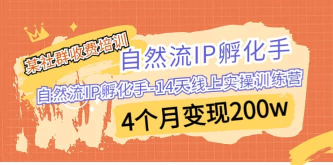 某社群收费培训：自然流IP 孵化手-14天线上实操训练营 4个月变现200w-创途网