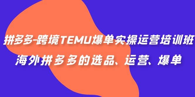 拼多多-跨境TEMU爆单实操运营培训班，海外拼多多的选品、运营、爆单-创途网