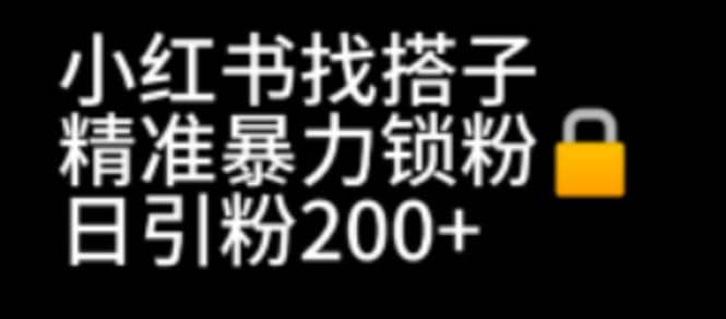 小红书找搭子暴力精准锁粉+引流日引200+精准粉-创途网