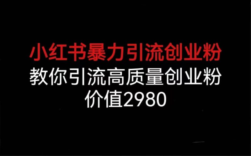 小红书暴力引流创业粉,教你引流高质量创业粉,价值2980-创途网