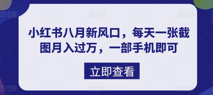 八月新风口，小红书虚拟项目一天收入1000+，实战揭秘-创途网