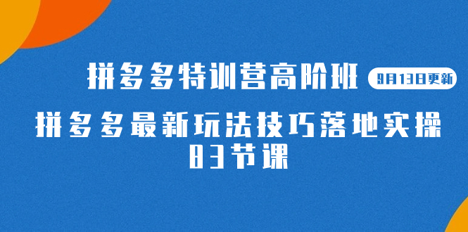 2023拼多多·特训营高阶班【9月13日更新】拼多多最新玩法技巧落地实操-83节-创途网