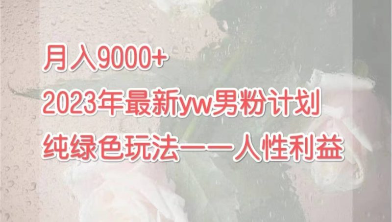 月入9000+2023年9月最新yw男粉计划绿色玩法——人性之利益-创途网