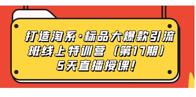 打造淘系·标品大爆款引流班线上特训营5天直播授课！-创途网