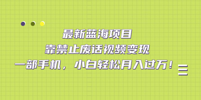 最新蓝海项目，靠禁止废话视频变现，一部手机，小白轻松月入过万！-创途网