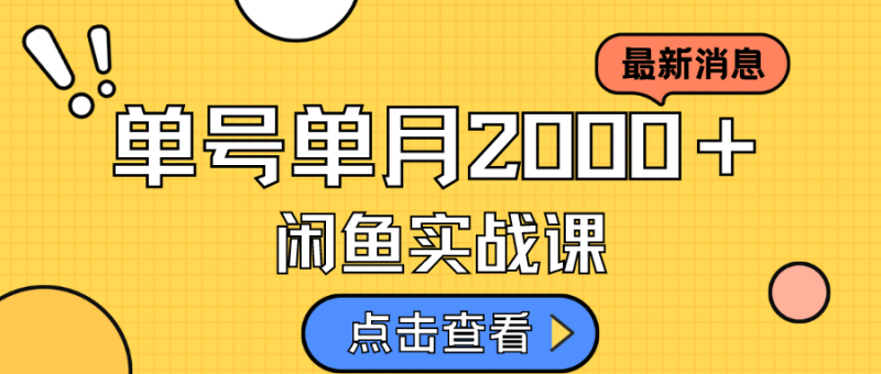 咸鱼虚拟资料新模式，月入2w＋，可批量复制，单号一天50-60没问题 多号多撸-创途网