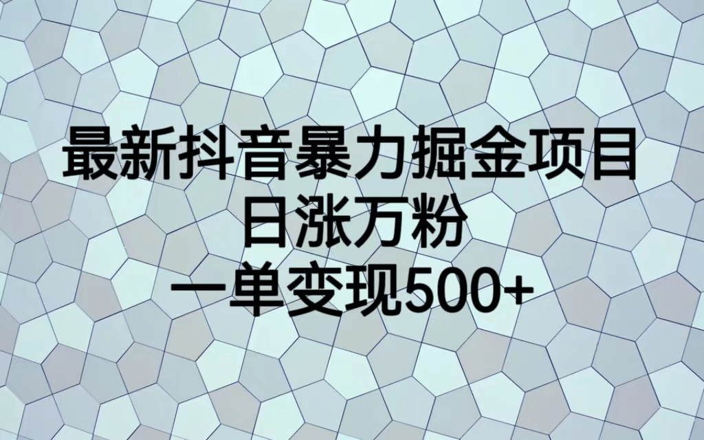 最火热的抖音暴力掘金项目，日涨万粉，多种变现方式，一单变现可达500+-创途网