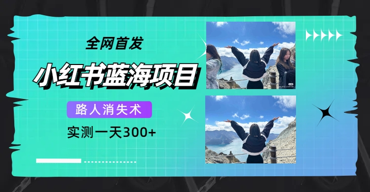 全网首发，小红书蓝海项目，路人消失术，实测一天300+（教程+工具）-创途网