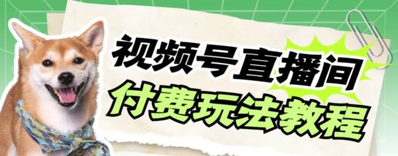 视频号美女付费无人直播,轻松日入500+【详细玩-创途网
