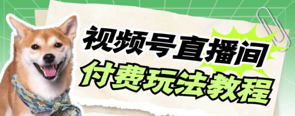 视频号美女付费无人直播，轻松日入500+【详细玩-创途网