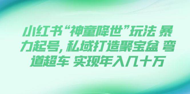 小红书“神童降世”玩法 暴力起号,私域打造聚宝盆 弯道超车 实现年入几十万-创途网
