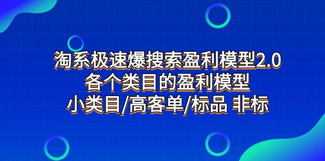 淘系极速爆搜索盈利模型2.0，各个类目的盈利模型，小类目/高客单/标品 非标-创途网