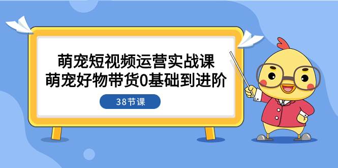 萌宠·短视频运营实战课：萌宠好物带货0基础到进阶（38节课）-创途网