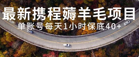 最新携程薅羊毛项目，单账号每天1小时保底收益40+，可矩阵操作-创途网