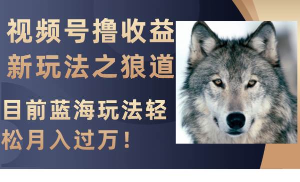 视频号撸收益新玩法之狼道，目前蓝海玩法轻松月入过万！-创途网