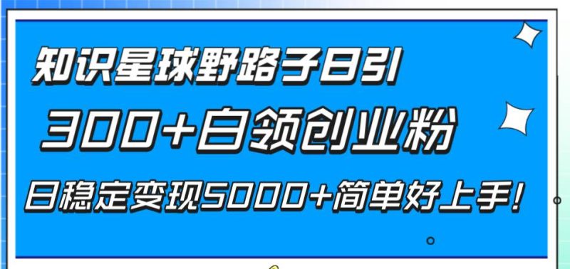 知识星球野路子日引300+白领创业粉,日稳定变现5000+简单好上手!-创途网