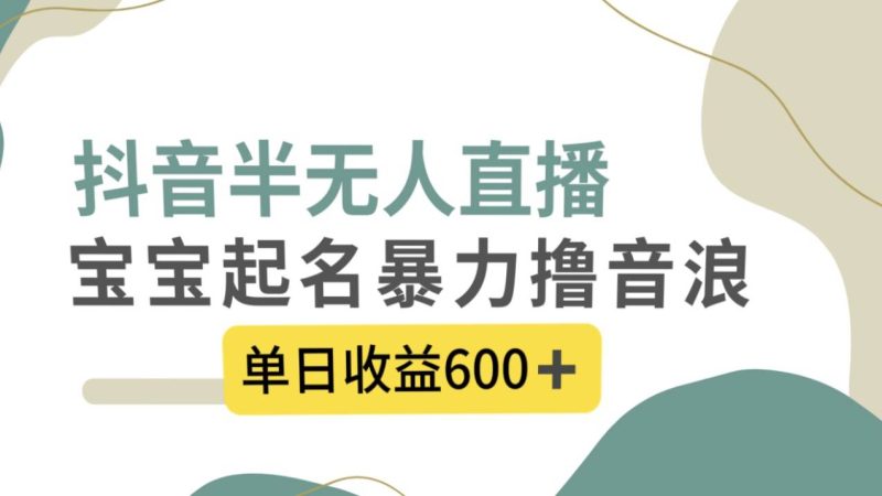 抖音半无人直播，宝宝起名，暴力撸音浪，单日收益600+-创途网